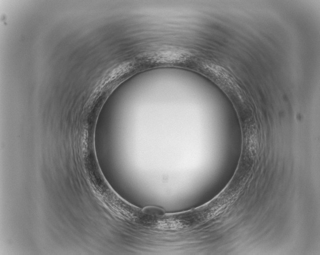 X0000059060591200510101051