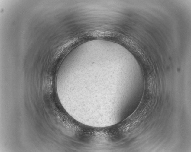 X0000059060592200510101051