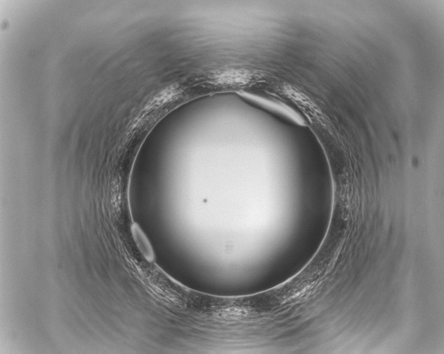 X0000059060593200510101051