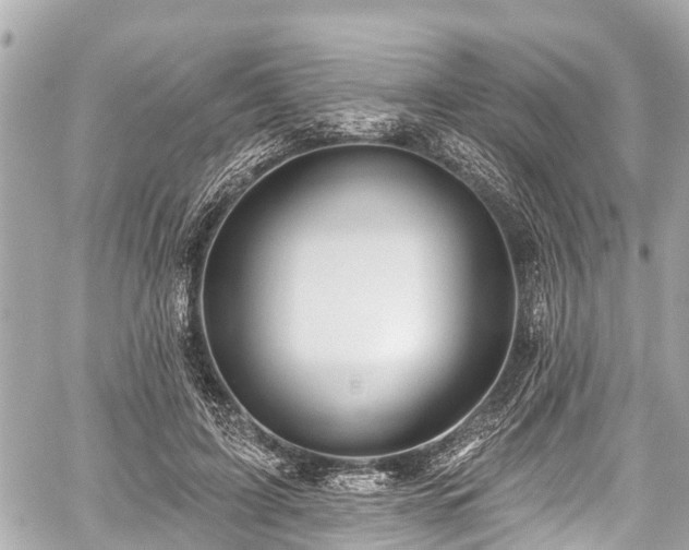 X0000059060595200510101051