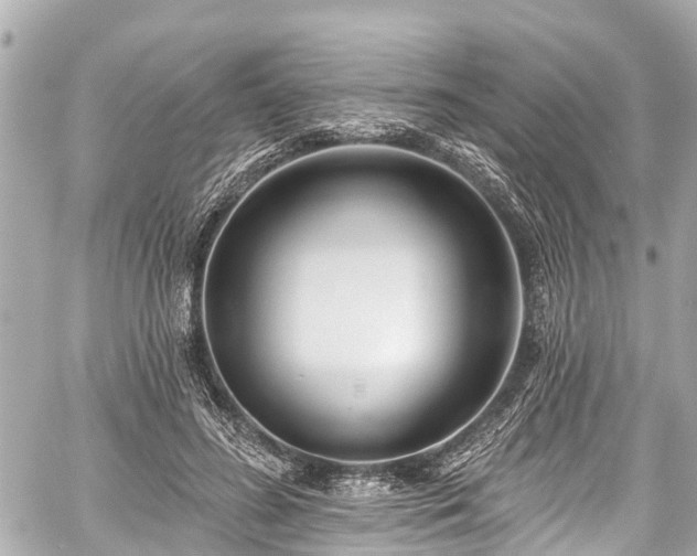 X0000059060596200510101051