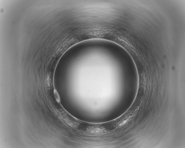 X0000059060597200510101051