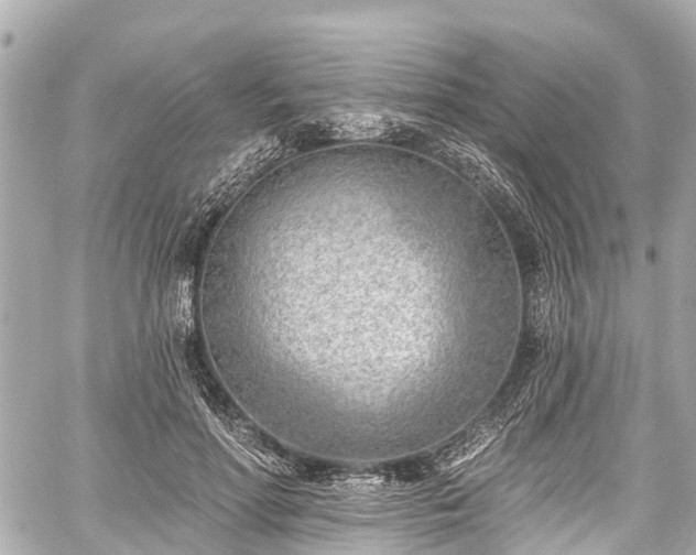 X0000059060598200510101051