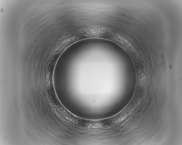 X0000059060599200510101051