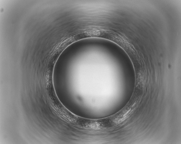 X0000059060600200510101051