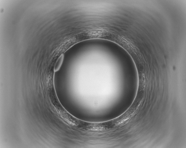 X0000059060601200510101051