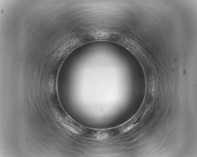 X0000059060604200510101050