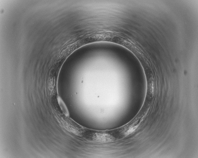 X0000059060605200510101050