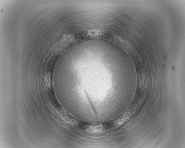 X0000059060606200510101050