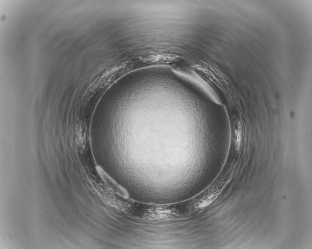 X0000059060607200510101050