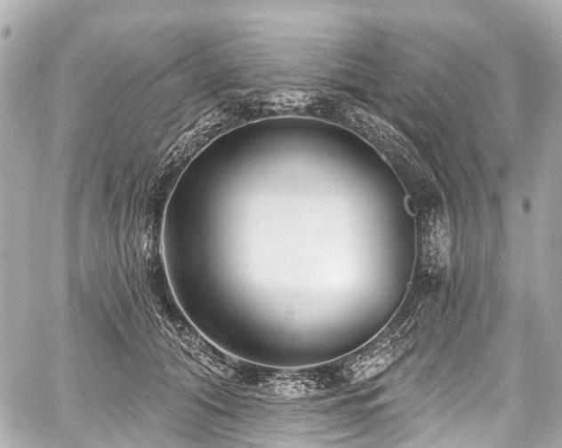 X0000059060608200510101050