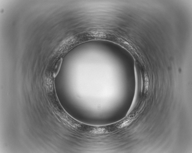 X0000059060609200510101050