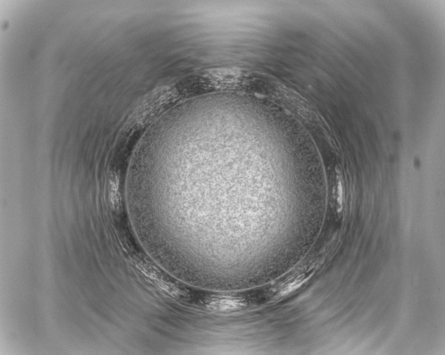 X0000059060610200510101050