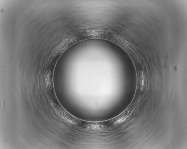 X0000059060611200510101050