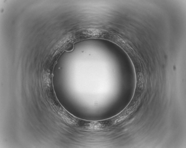 X0000059060612200510101050