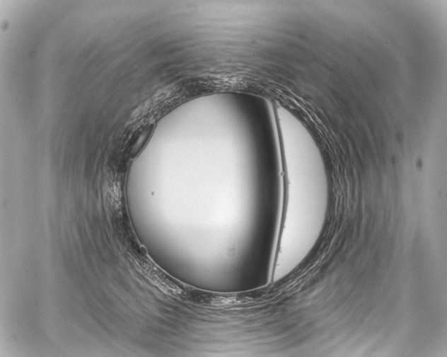 X0000059060613200510101050