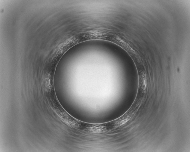 X0000059060615200510101050