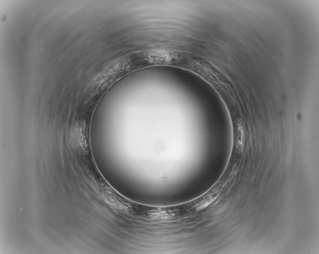 X0000059060616200510101050