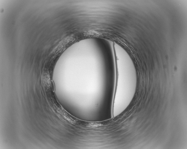 X0000059060617200510101050