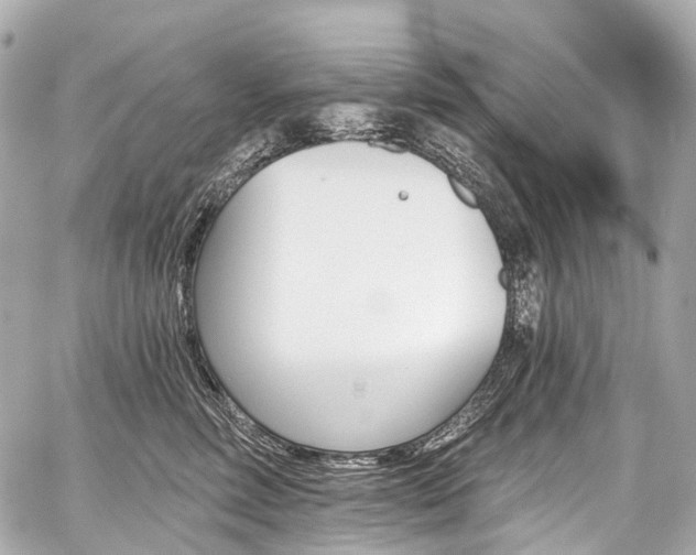 X0000059060618200510101050