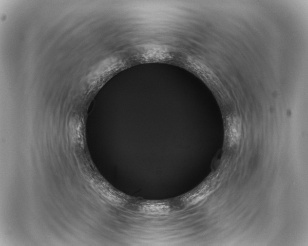 X0000059060619200510101050