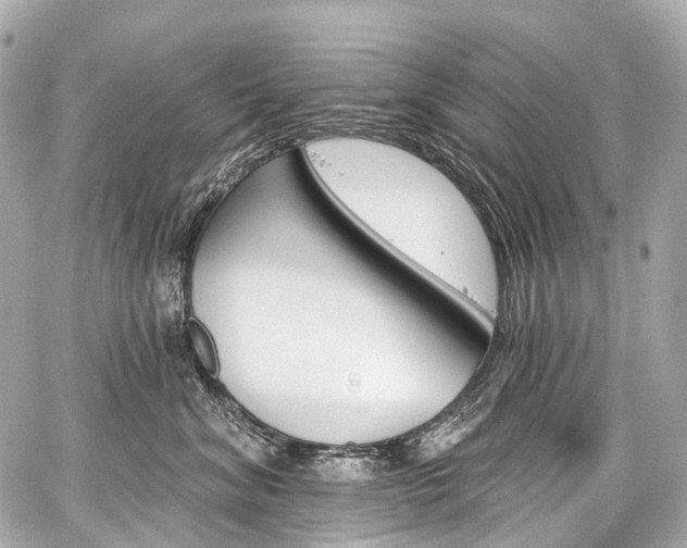 X0000059060620200510101050