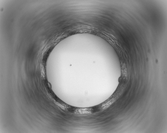 X0000059060622200510101050