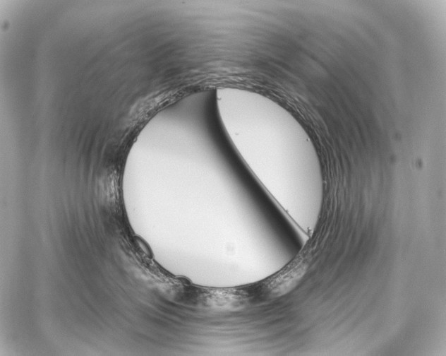 X0000059060623200510101050