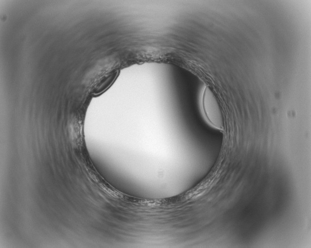 X0000059060624200510101050