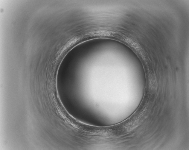 X0000059060625200510101049