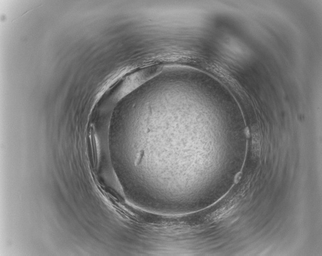 X0000059060626200510101049