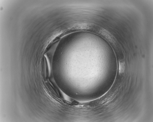 X0000059060627200510101049