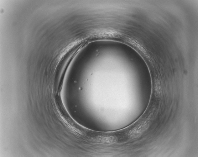 X0000059060629200510101049