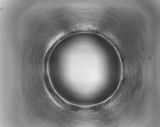 X0000059060630200510101049