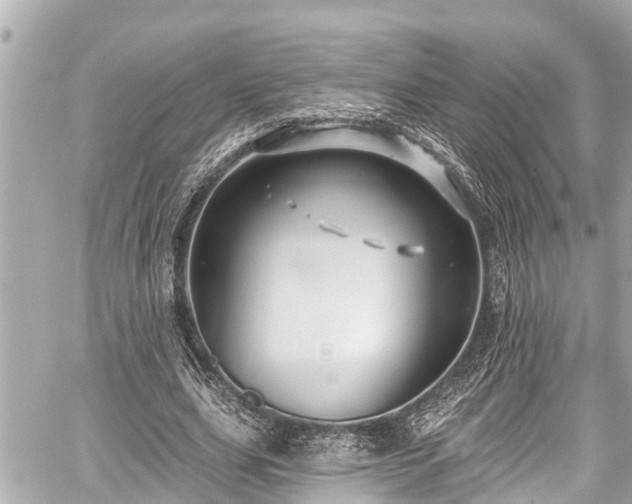 X0000059060631200510101049