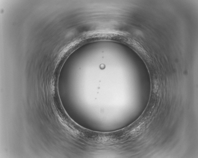 X0000059060632200510101049