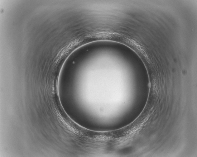 X0000059060633200510101049