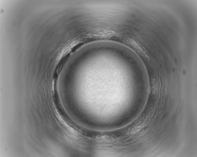 X0000059060634200510101049