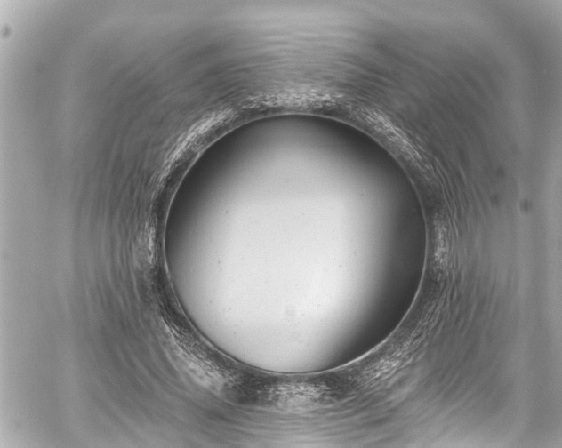 X0000059060636200510101050