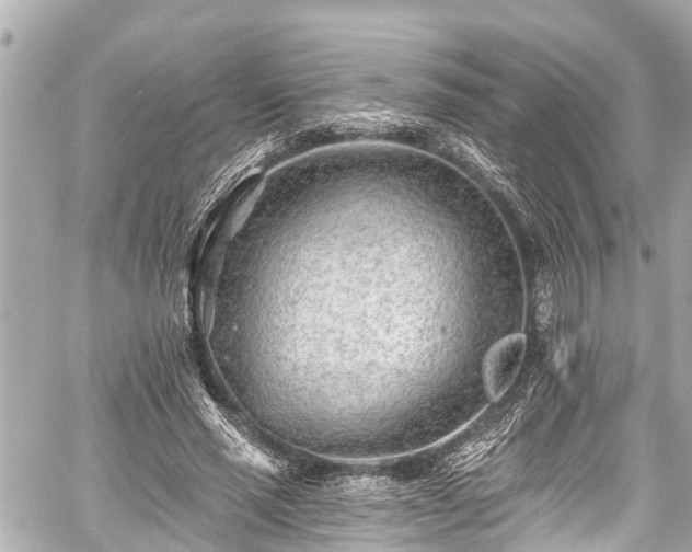 X0000059060637200510101050