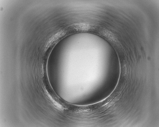 X0000059060638200510101050