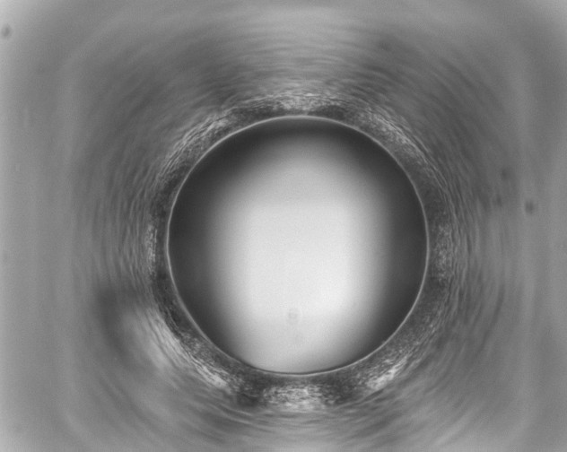 X0000059060639200510101050