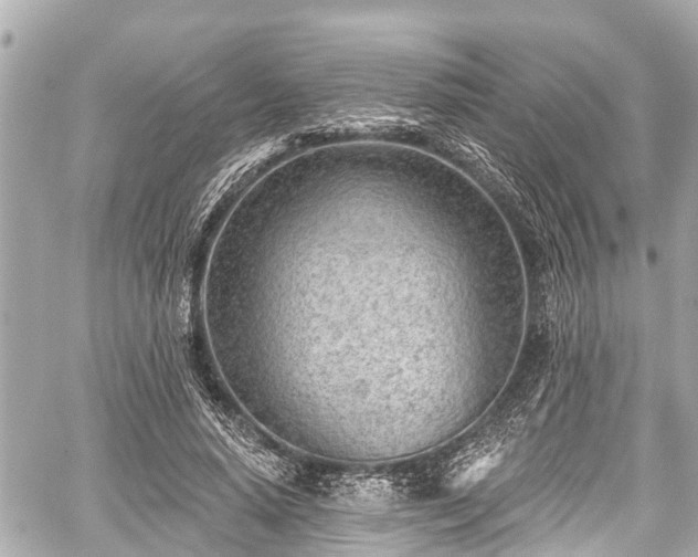 X0000059060640200510101050