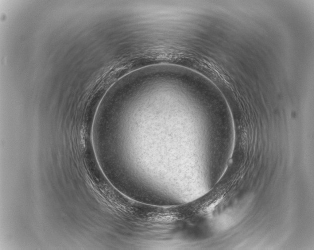 X0000059060643200510101050