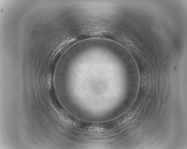 X0000059060648200510101050