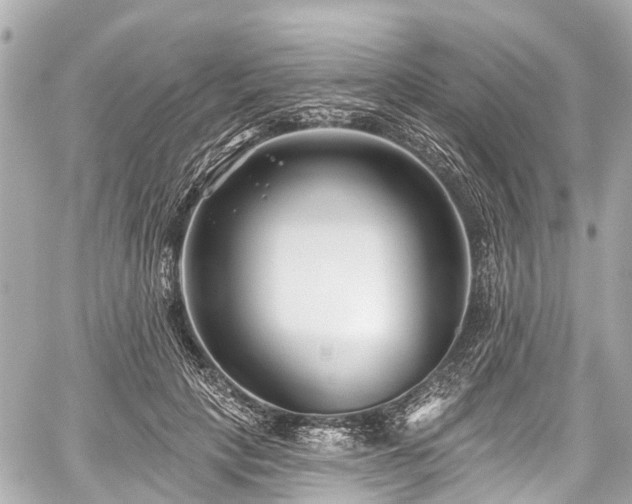 X0000059060649200510101050