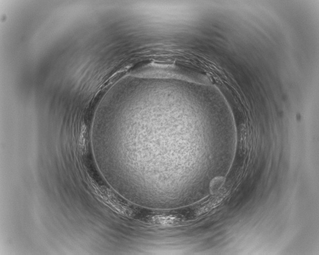 X0000059060650200510101050