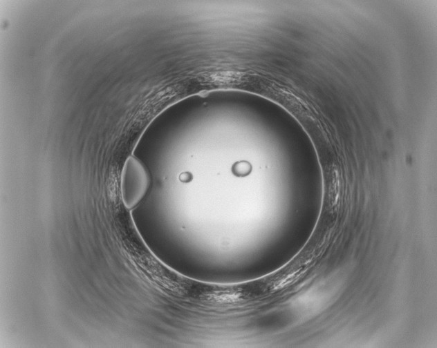 X0000059060651200510101050