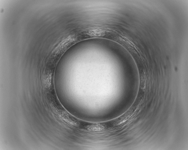 X0000059060652200510101050