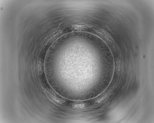 X0000059060653200510101050